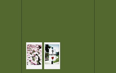 ‘Visitor’ – John Moreland – New Album Review